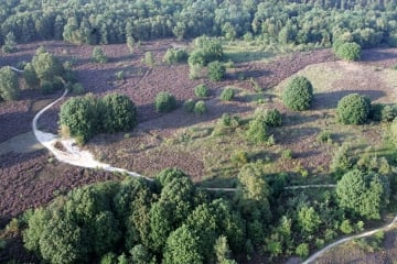 hotel_stiemerheide_natuur