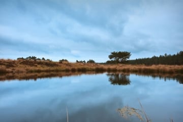 hotel_stiemerheide_natuur3