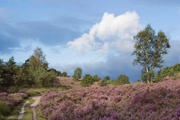 hotel_stiemerheide_natuur_20040820_0015