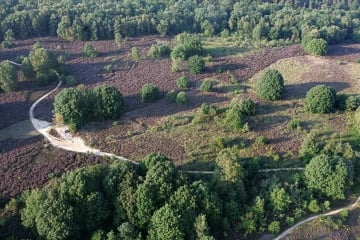 Hotel-Stiemerheide-in-Genk_omgeving_image005