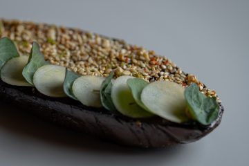 Kristalijnmenu29maart-94-staand