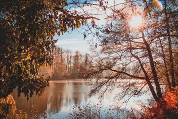 pond-3830388-opti