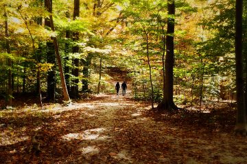 stiemerheide-1269341230