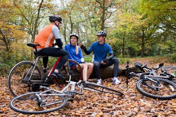 stiemerheide-141467621