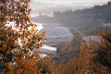 stiemerheide_Kikbeekbron-03-zonder-koppel