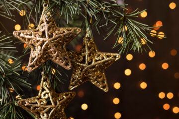 Feestelijke<br>Kerstlunch