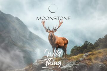 Wild Thing
